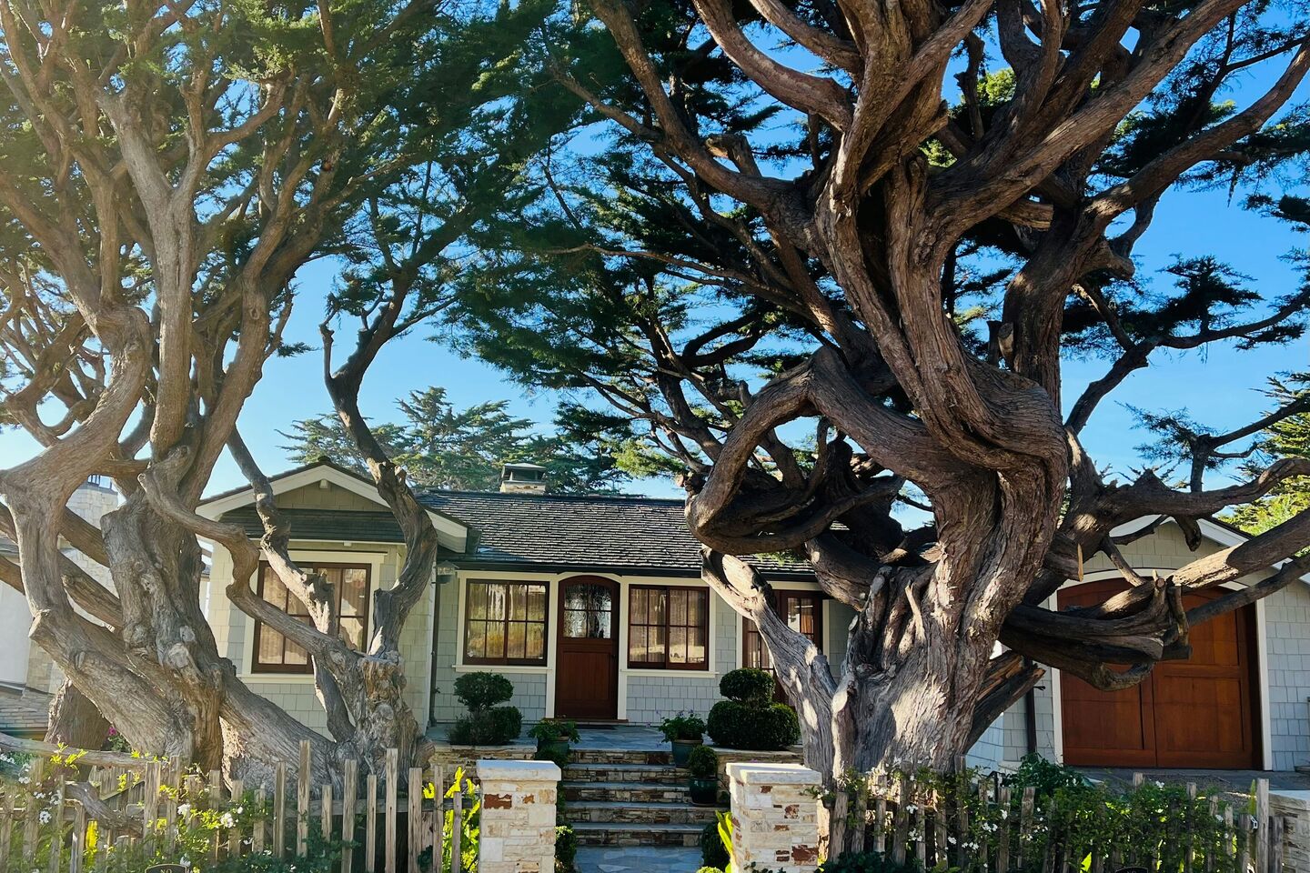 Craftsman cottage with a wooden front door behind large old trees